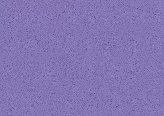纯紫